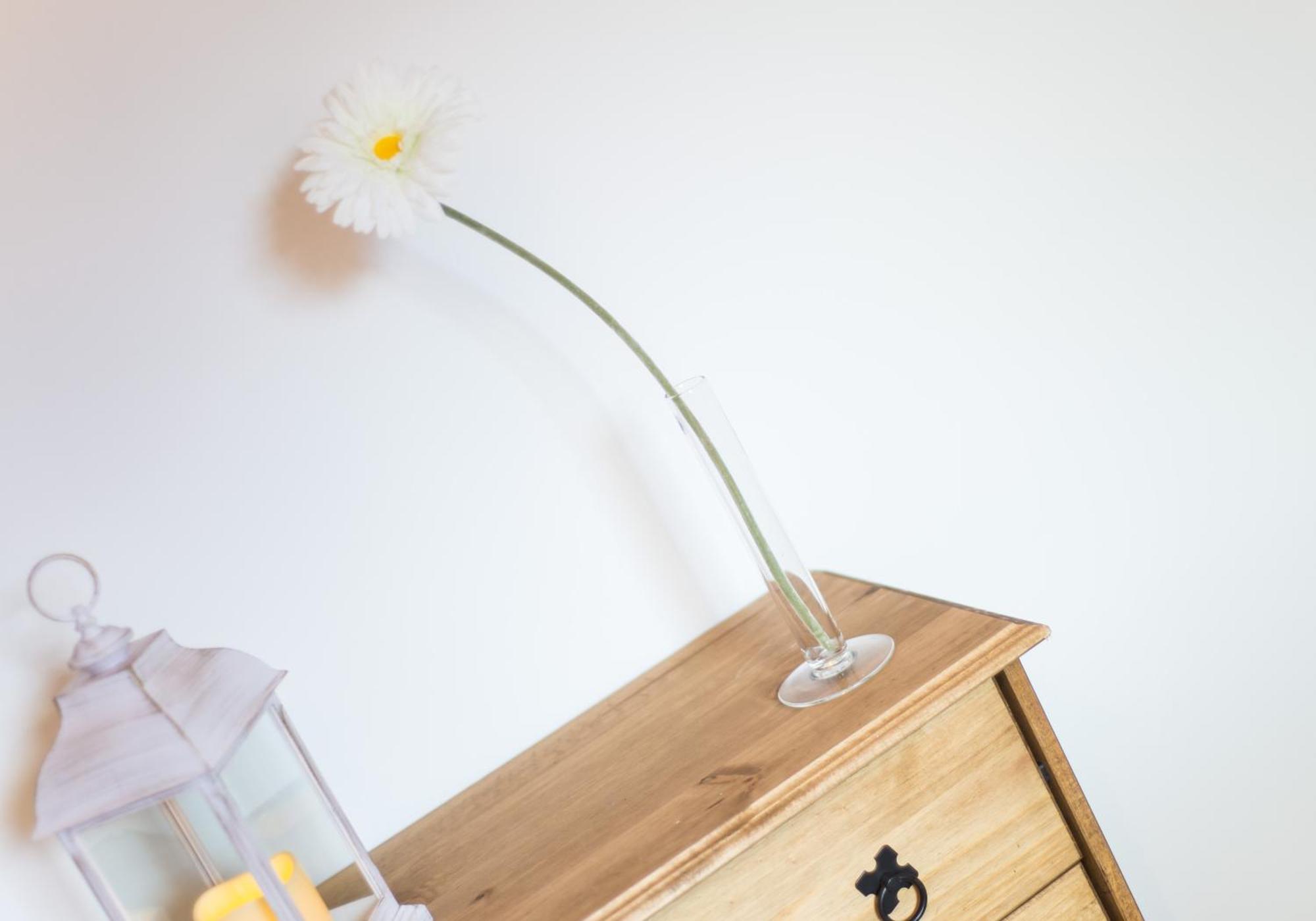 Kenmar House By Klass Living Hamilton Esterno foto